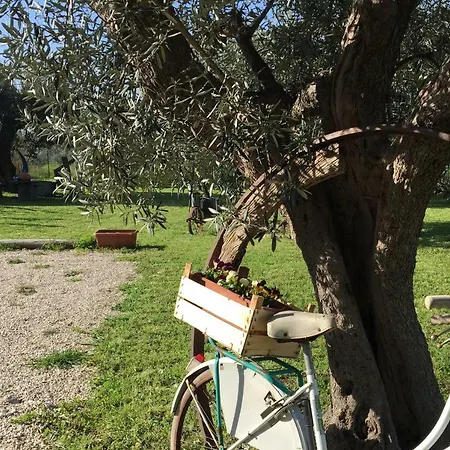 C'era Volta Podere San Giovanni 포사세시아