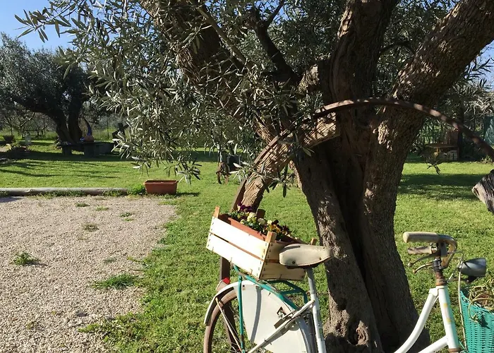 C'era Volta Podere San Giovanni 福萨切西亚