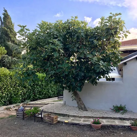 فندق مبيت وإفطار C'era Volta Podere San Giovanni 3*