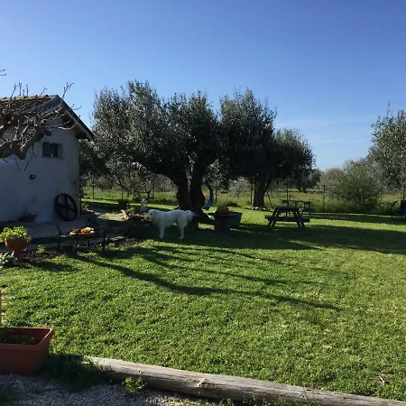 فندق مبيت وإفطار C'era Volta Podere San Giovanni