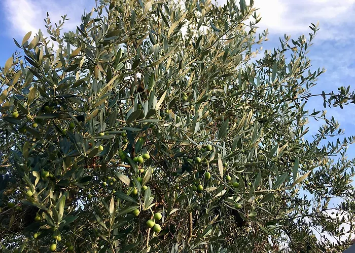 C'era Volta Podere San Giovanni Fossacesia